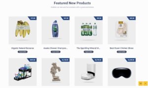 bigshop-home1-demo17