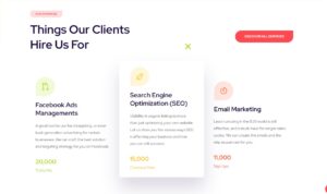 digital-marketing-home1-demo13